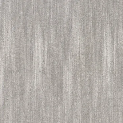 Concerto Silver thumbnail 2