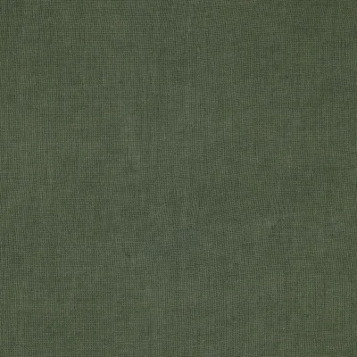 FLANDERS CLOVER thumbnail 3