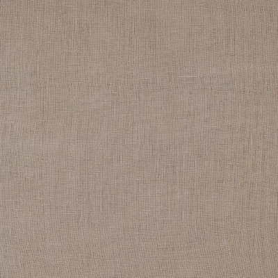 FLANDERS OYSTER thumbnail 3