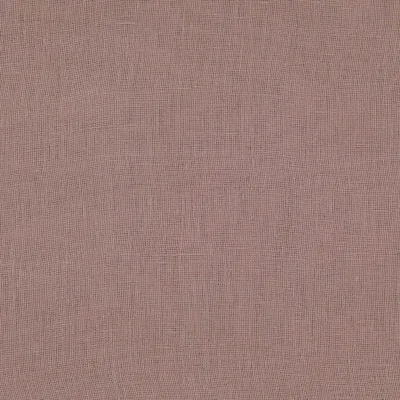 FLANDERS PETAL thumbnail 3