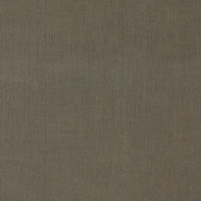 FLANDERS SAGE thumbnail 3