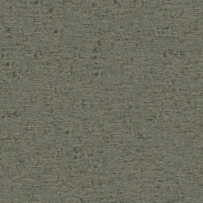 FUJI SAGE thumbnail 2