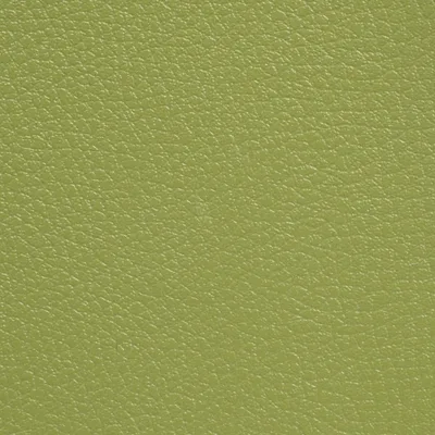 GINKGO AMANDE thumbnail 2