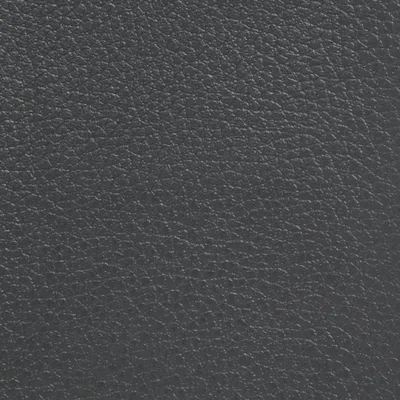 GINKGO ANTHRACITE — GINKGO swatch, view 1