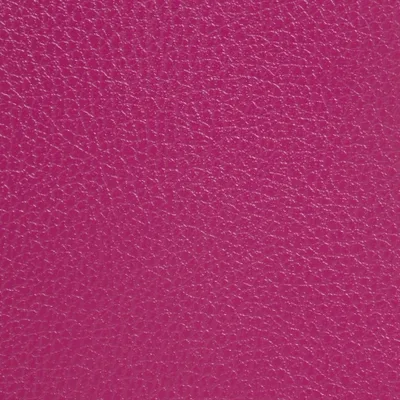 GINKGO BEGONIA — GINKGO swatch, view 1