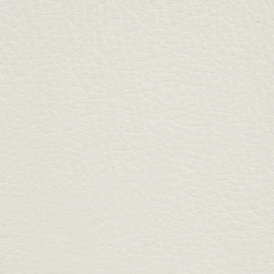 GINKGO BLANC — GINKGO swatch, view 1