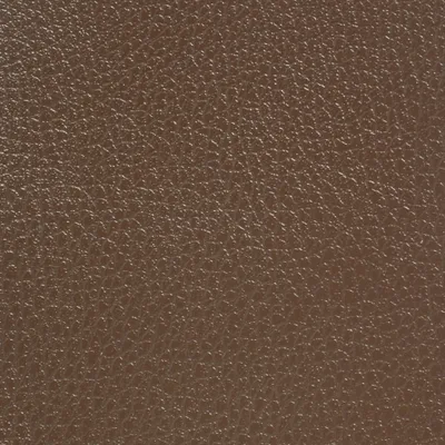 GINKGO CAFE — GINKGO swatch, view 1