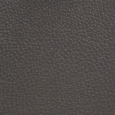 GINKGO CHOCOLATE — GINKGO swatch, view 1