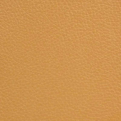 GINKGO CITROUILLE — GINKGO swatch, view 1