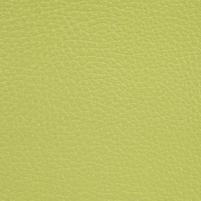 GINKGO GRANNY swatch