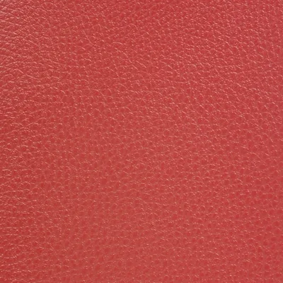 GINKGO GROSEILLE — GINKGO swatch, view 1