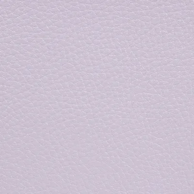 GINKGO LILAS thumbnail 2