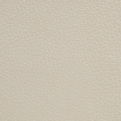 GINKGO MASTIC swatch