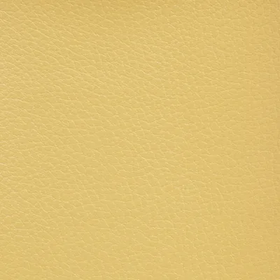 GINKGO MIRABELLE thumbnail 2