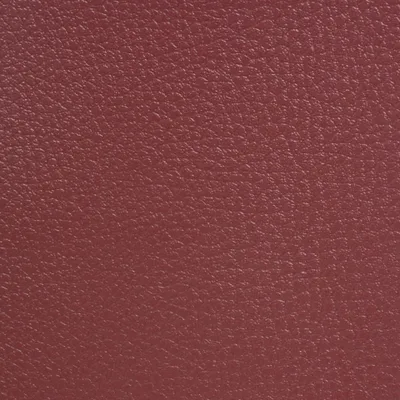 GINKGO MORGON — GINKGO swatch, view 1