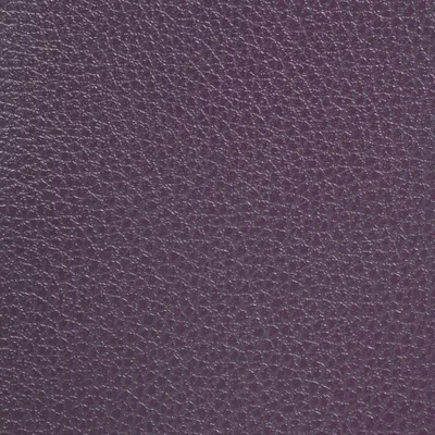 GINKGO MYRTILLE — GINKGO swatch, view 1