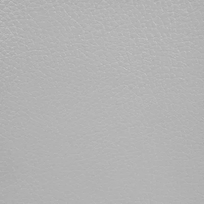 GINKGO PIERRE swatch