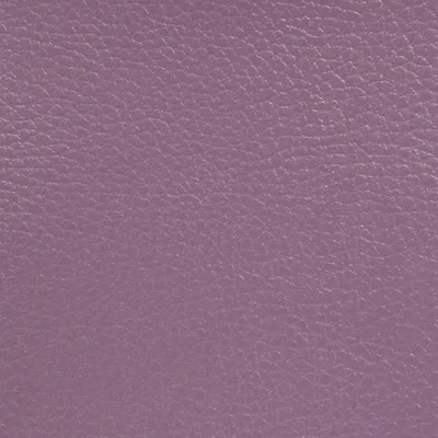 GINKGO QUETSCHE — GINKGO swatch, view 1