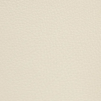 GINKGO SEIGLE — GINKGO swatch, view 1