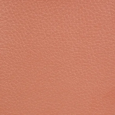 GINKGO TOMETTE — GINKGO swatch, view 1