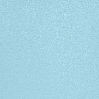 GINKGO TURQUOISE thumbnail 2