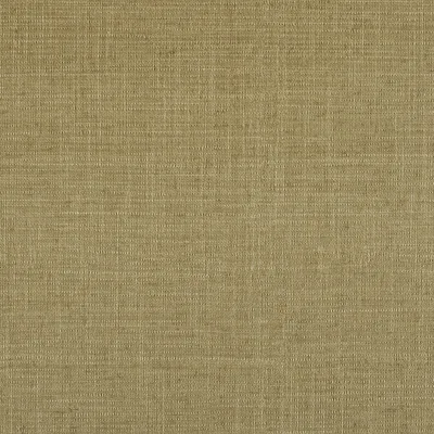 HAVANA CHARTREUSE — HAVANA swatch, view 1