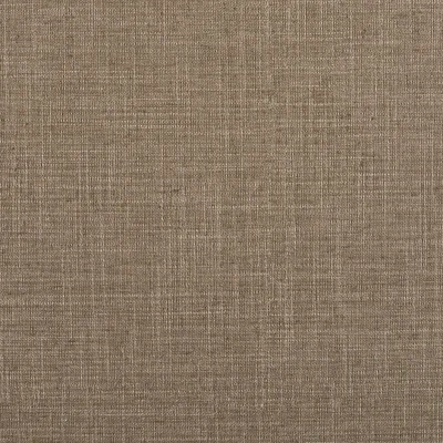 HAVANA MOCHA — HAVANA swatch, view 1