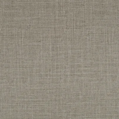 HAVANA PEWTER swatch