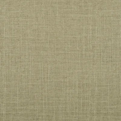 HAVANA SAGE — HAVANA swatch, view 1