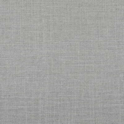 HAVANA SILVER — HAVANA swatch, view 1