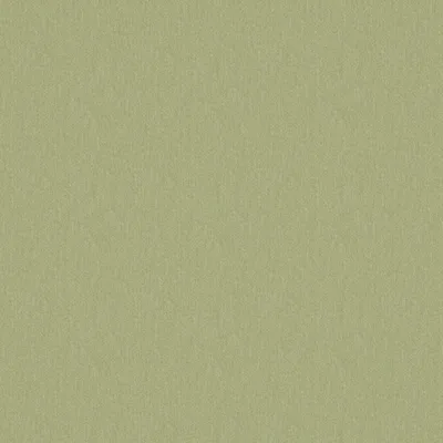 HOMESPUN APPLE thumbnail 3