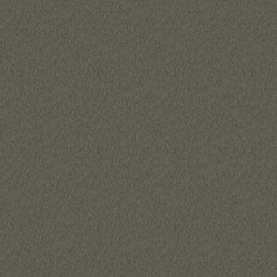 HOMESPUN BARK thumbnail 3