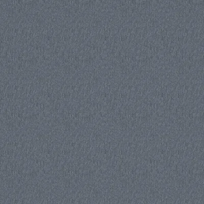 HOMESPUN DENIM thumbnail 3