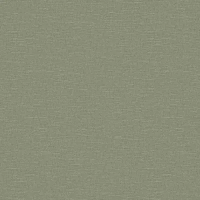 Husk Kiwi thumbnail 3