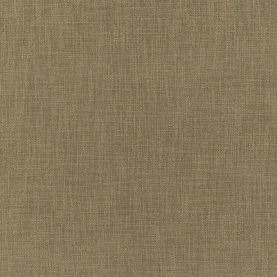 JAEGER OLIVE thumbnail 3