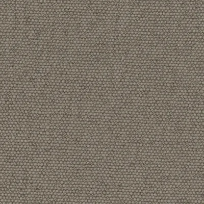 Jumbo Eucalyptus thumbnail 3