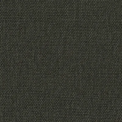 Jumbo Forest thumbnail 3