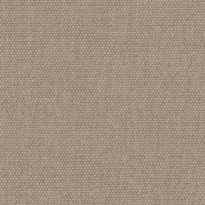 Jumbo Limewash thumbnail 3