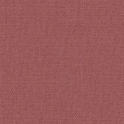 Jumbo Raspberry thumbnail 3