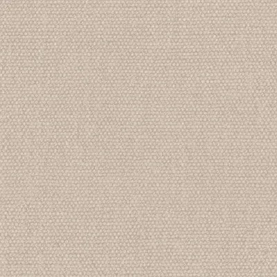 Jumbo Vanilla thumbnail 3