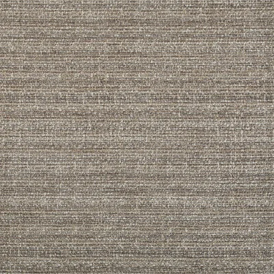 KINGSMAN LICHEN — KINGSMAN swatch, view 1