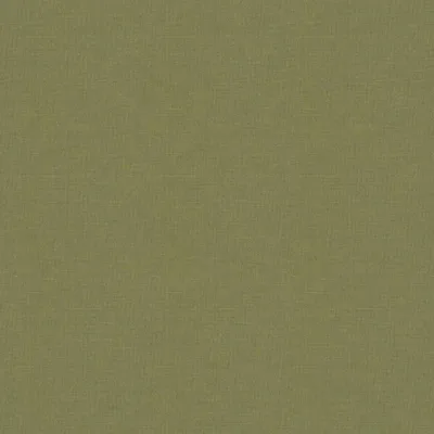 KOKI APPLE thumbnail 3