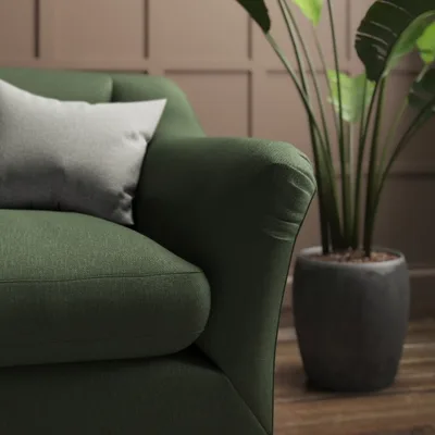 KRAYOLA FERN thumbnail 4