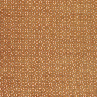 CELINE PUMPKIN — LAUREATE swatch, view 1