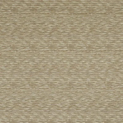 HESTIA CHAMPAGNE swatch