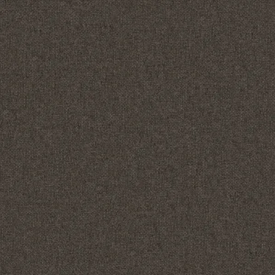 LEONE SHALE thumbnail 3