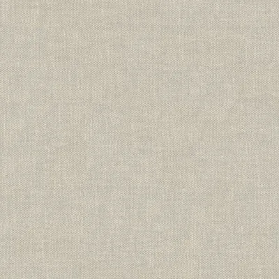 LOIRE CELERY thumbnail 3