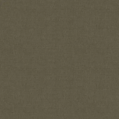 LOOMSPUN TURTLE thumbnail 3