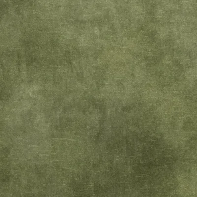 LOVELY CELERY thumbnail 3