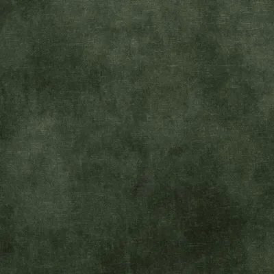 LOVELY CONIFER thumbnail 3